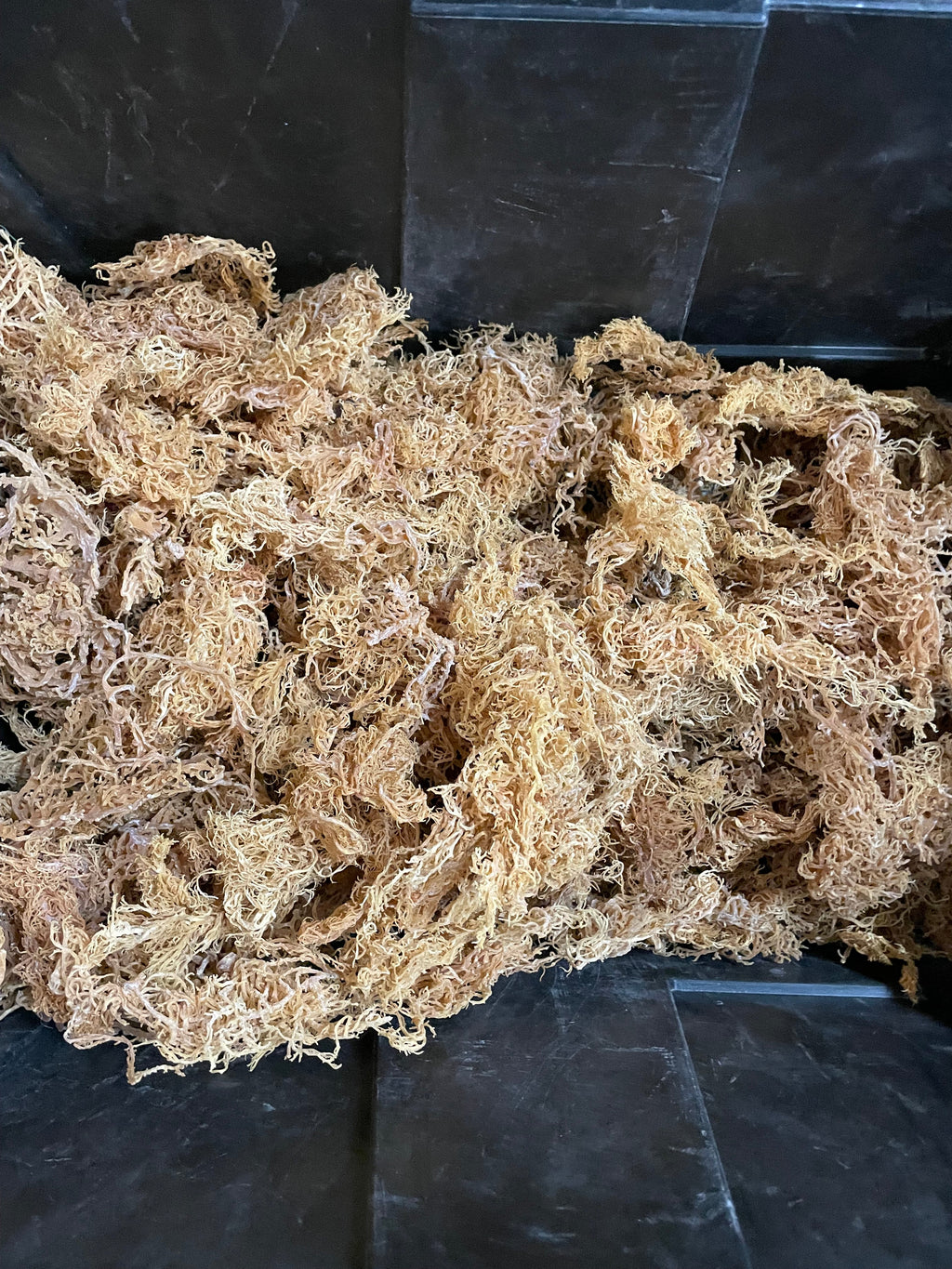 B Grade Purple Sea Moss Bulk — 10 lb Case