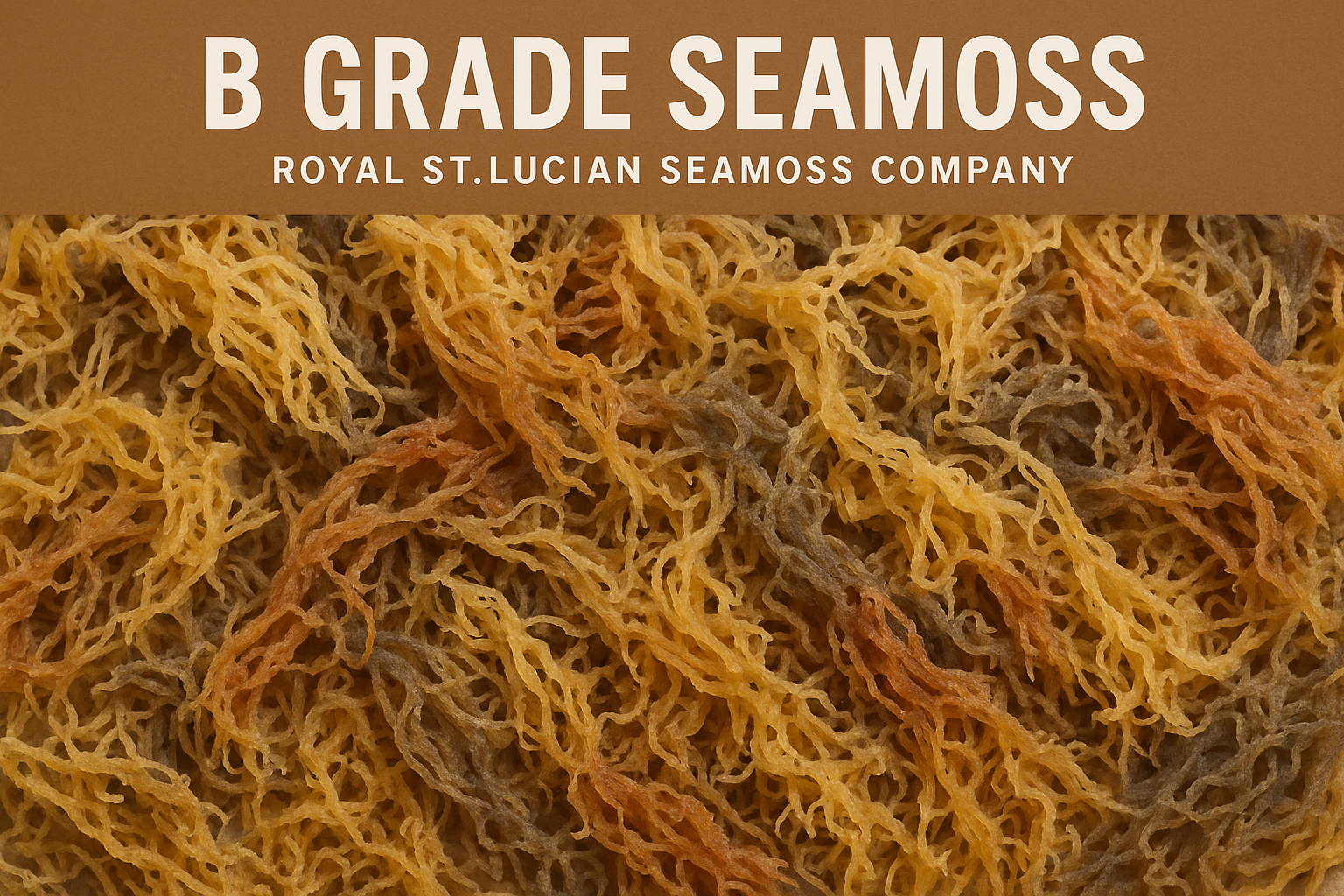 B-Grade Full Spectrum Sea Moss — 10 lb Bulk